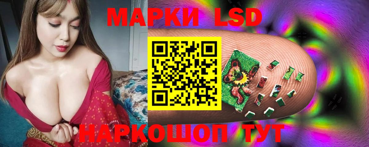 Новоалександровск  LSD-25 экстази  Вход с VPN  LSD-25 экстази кислота  ЛСД экстази кислота 