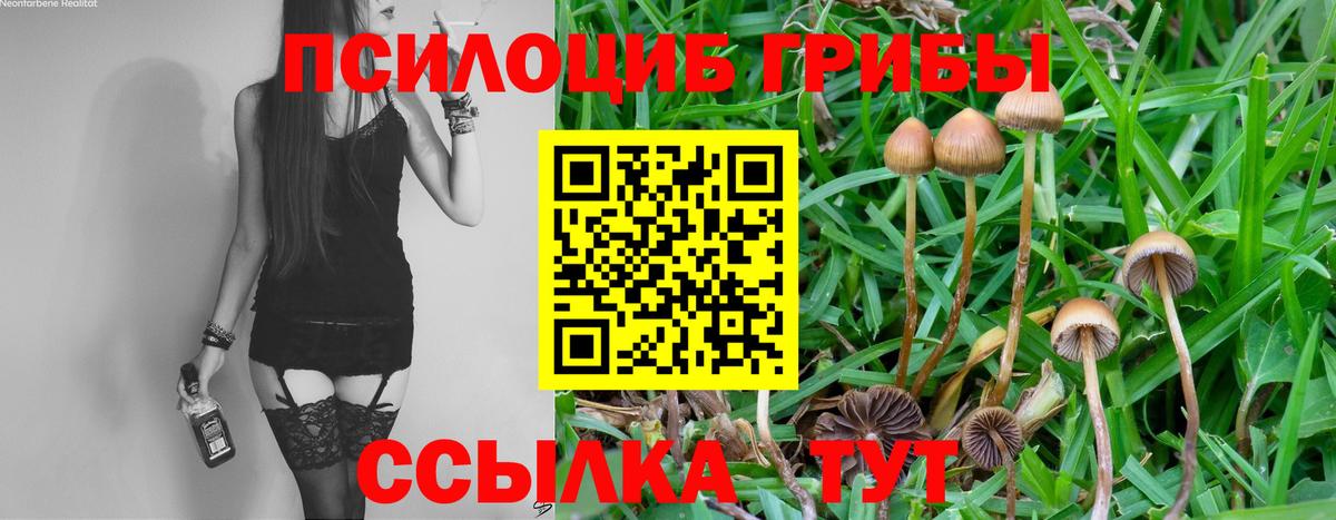 Псилоцибиновые грибы Magic Shrooms Новоалександровск